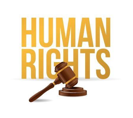 phd human rights law